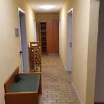 Monteurzimmermit Gemeinschafst Bad-kueche- Am Rhein Greffern